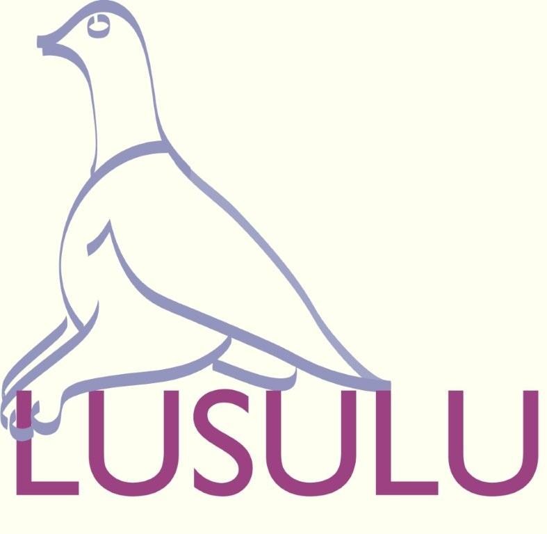 Stichting Lusulu