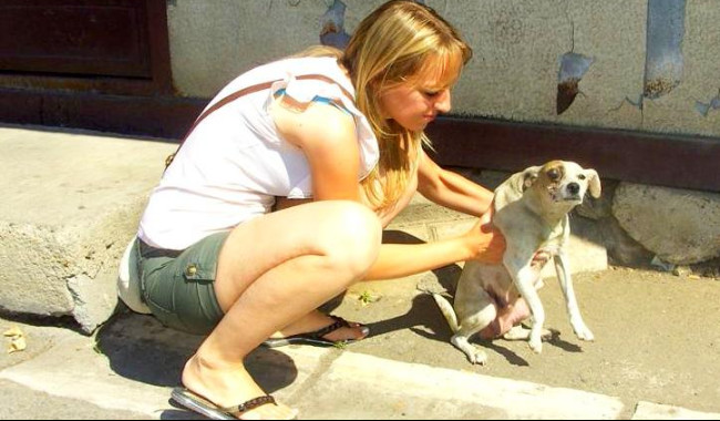 Stichting Dierennood Stichting Dierennood