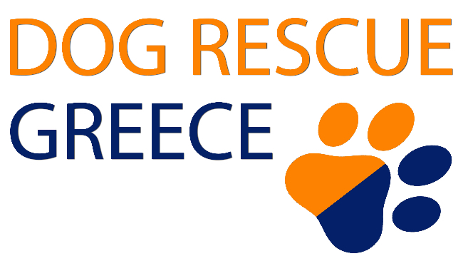 Dog Rescue Greece Dog Rescue Greece
