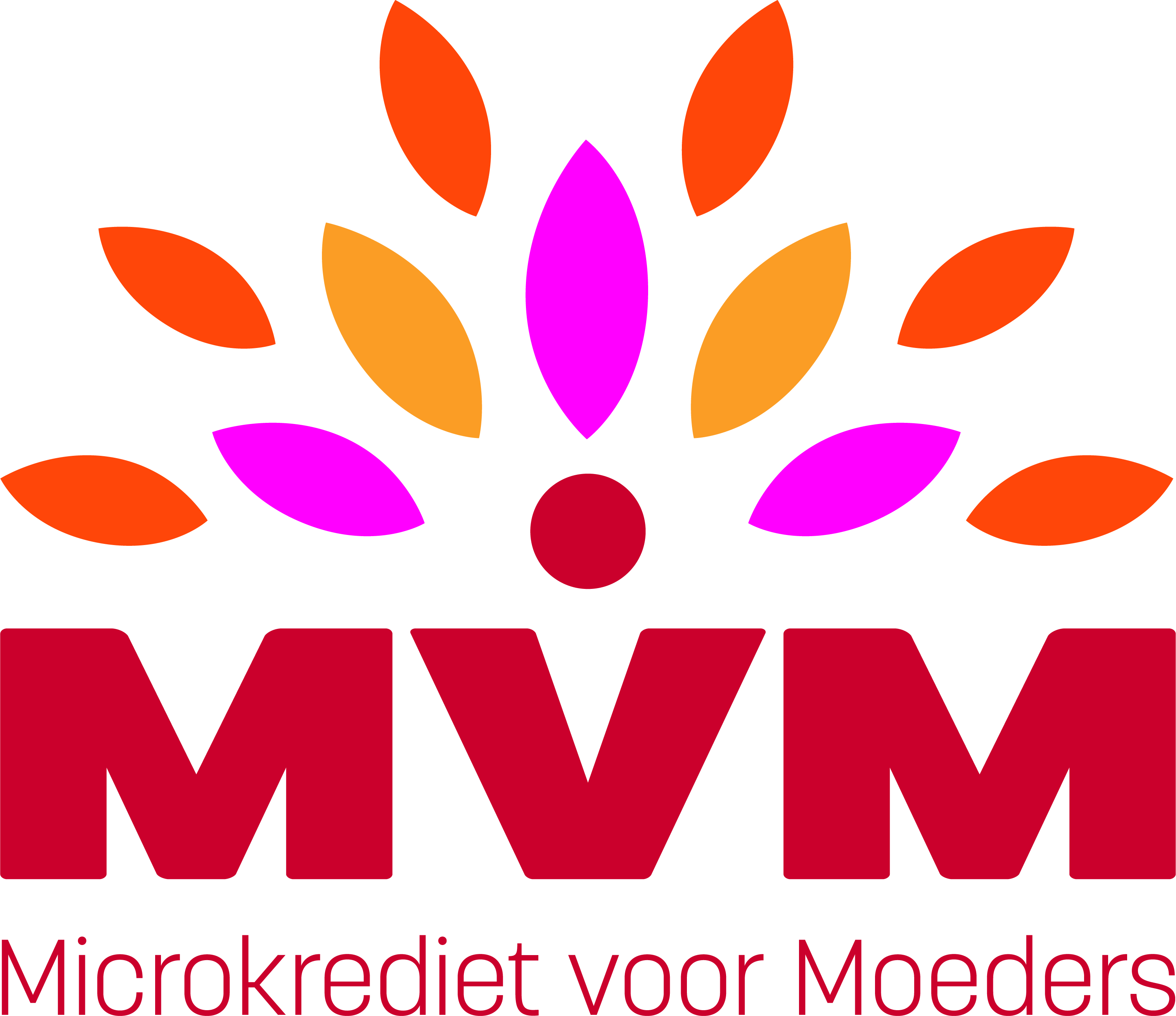 Microkrediet voor Moeders